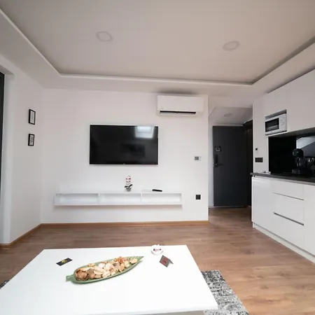 Luxury Apartment