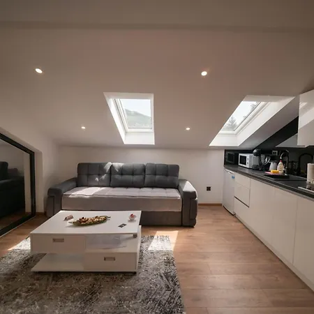 Luxury Apartment
